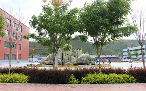 成都市蜀兴职业中学学前教育专业